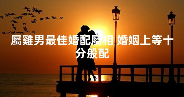 屬雞男最佳婚配屬相 婚姻上等十分般配